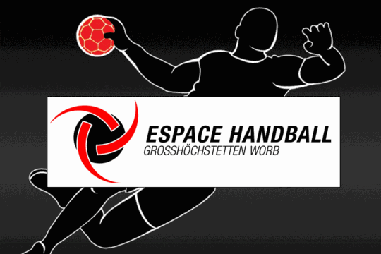 APP Logo Espace Handball rot.gif
